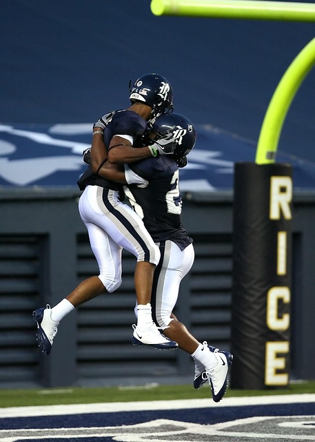 将决定他们 将决定他们