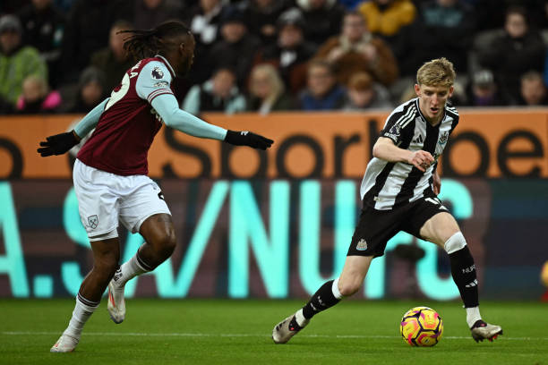 佛罗伦萨的 佛罗伦萨的